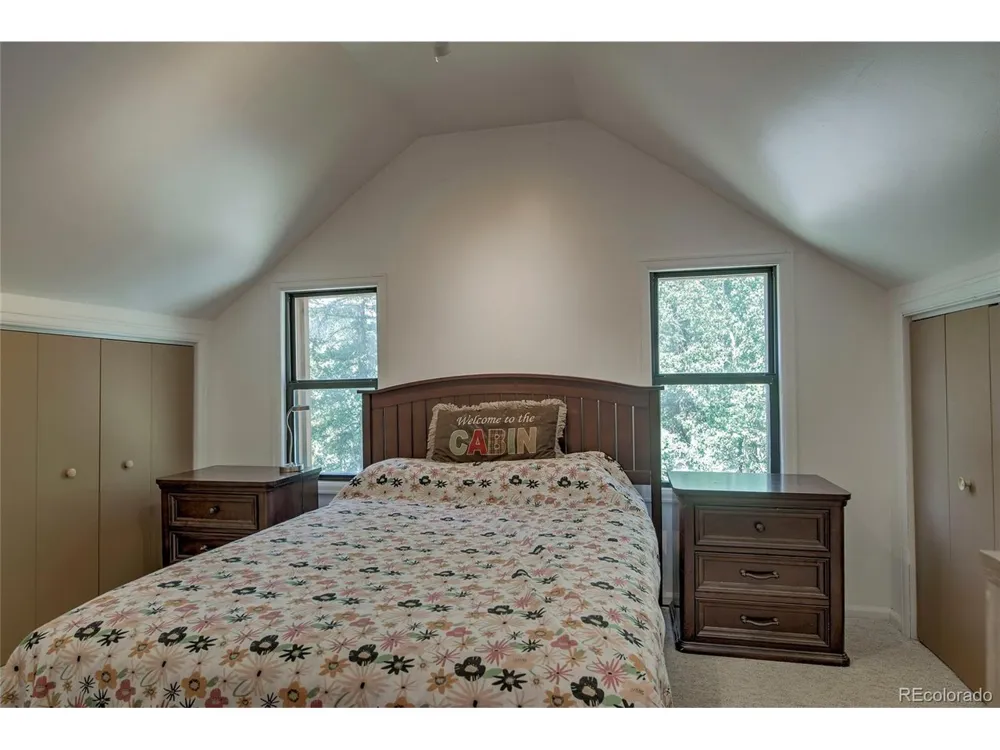 420 Nuthatch Drive Alma, CO 80420