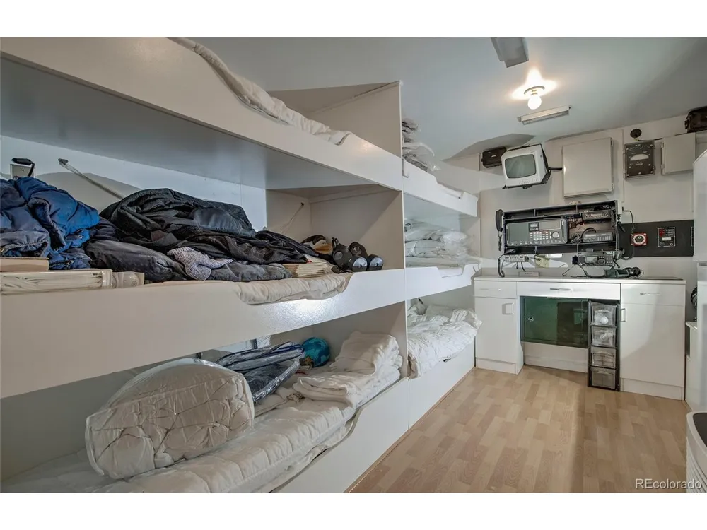 420 Nuthatch Drive Alma, CO 80420