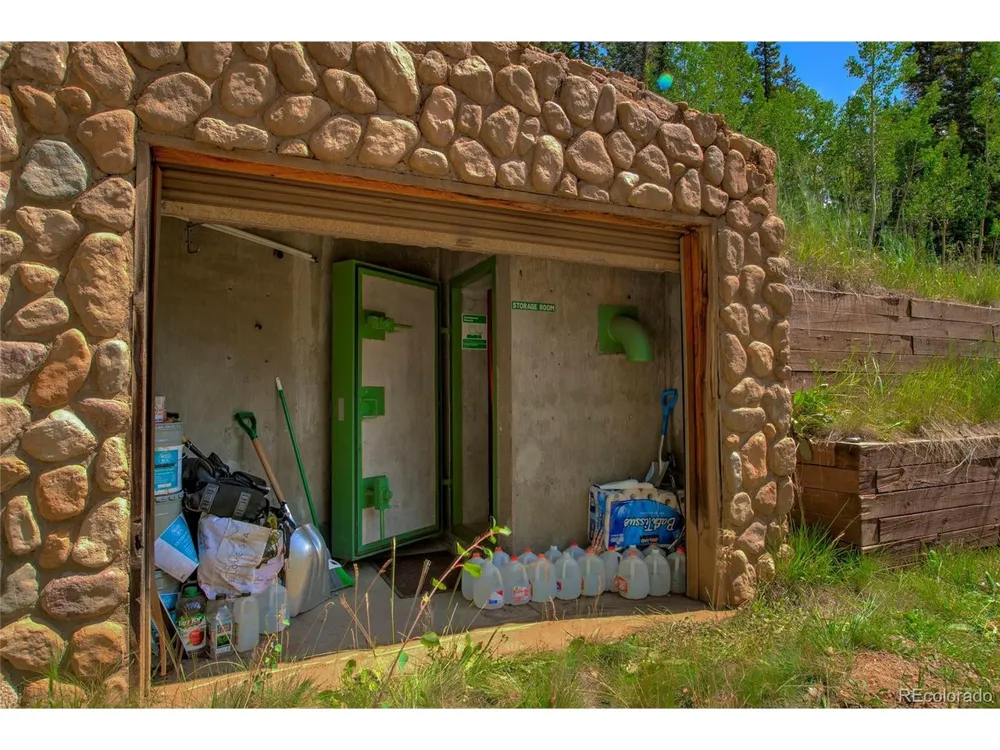 420 Nuthatch Drive Alma, CO 80420