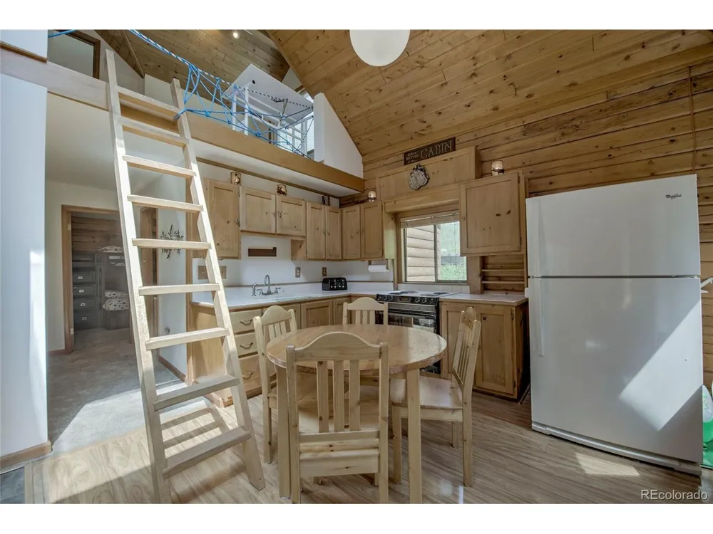 420 Nuthatch Drive Alma, CO 80420