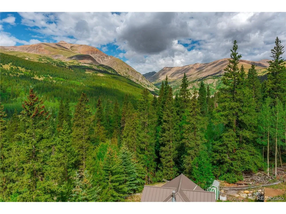 420 Nuthatch Drive Alma, CO 80420