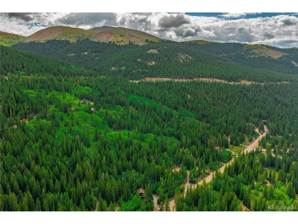 420 Nuthatch Drive Alma, CO 80420