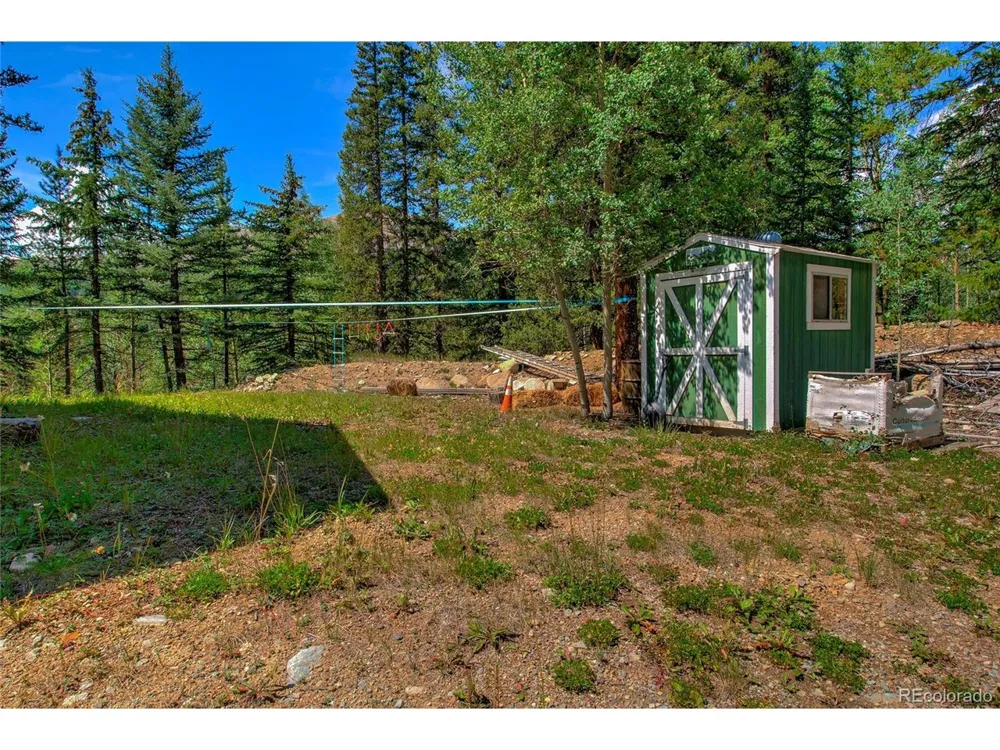 420 Nuthatch Drive Alma, CO 80420