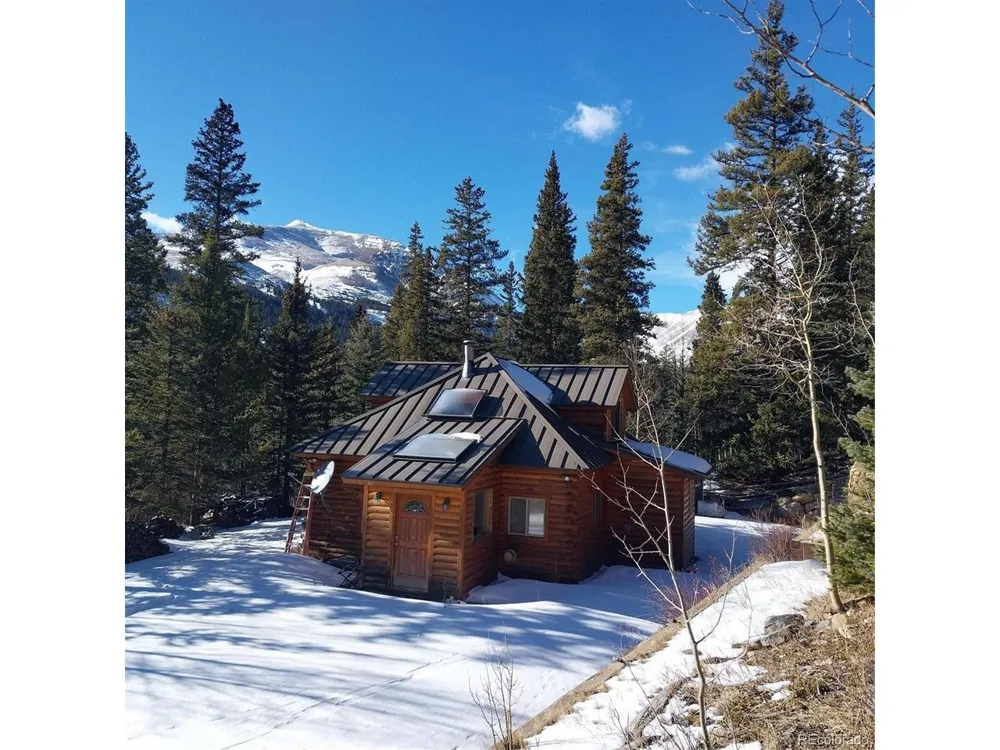 420 Nuthatch Drive Alma, CO 80420