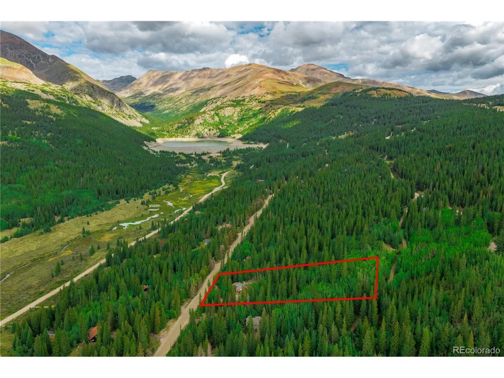 420 Nuthatch Drive Alma, CO 80420