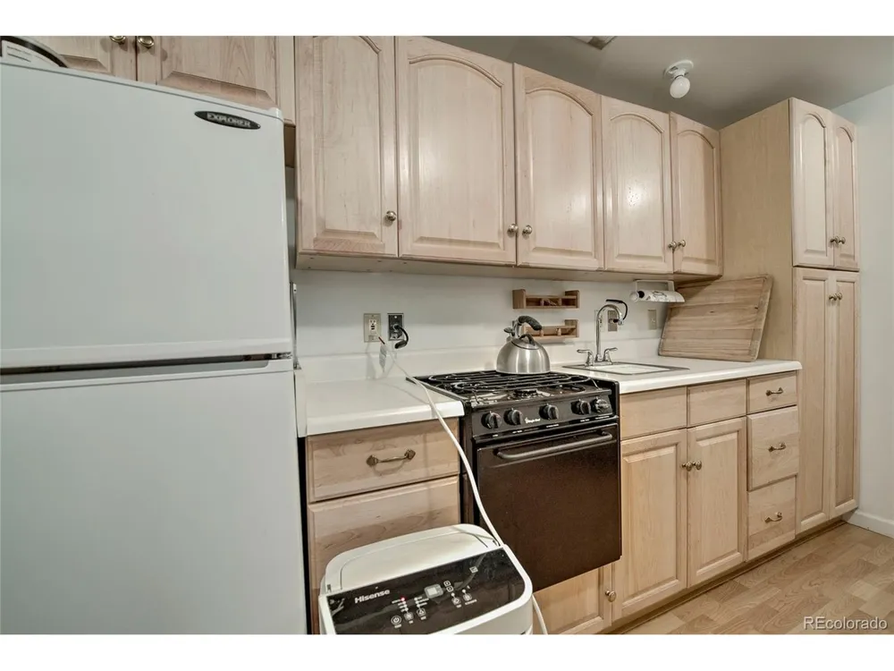 420 Nuthatch Drive Alma, CO 80420
