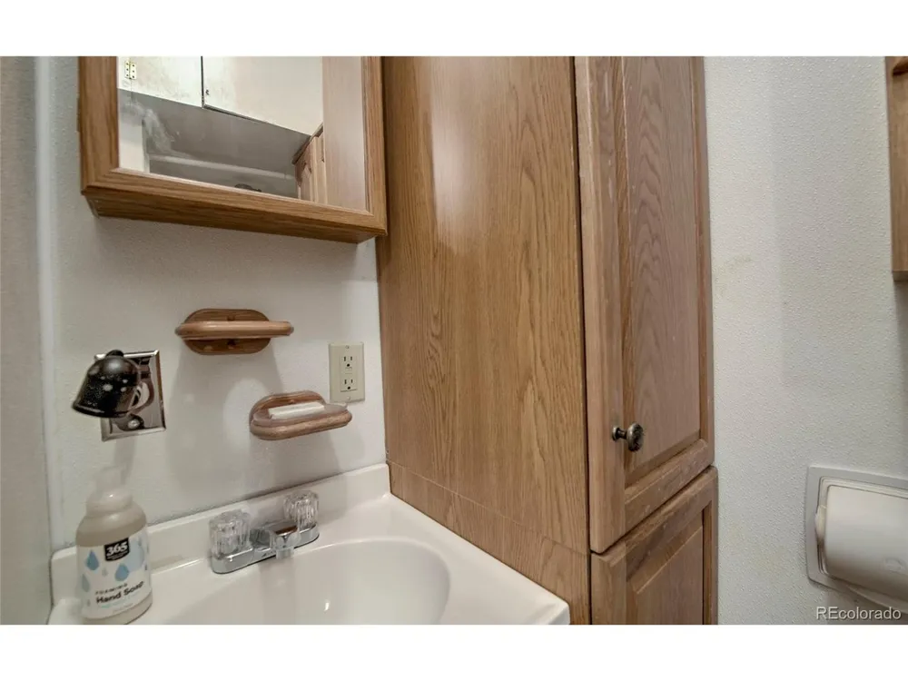 420 Nuthatch Drive Alma, CO 80420