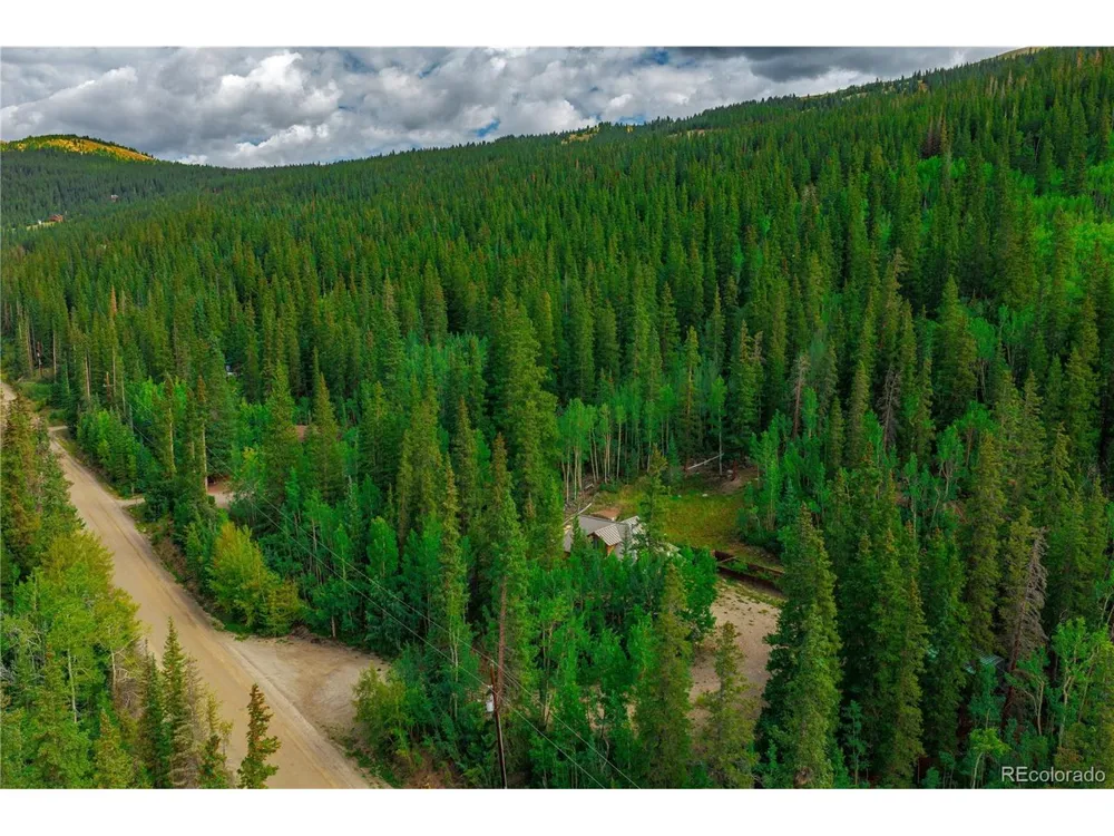 420 Nuthatch Drive Alma, CO 80420
