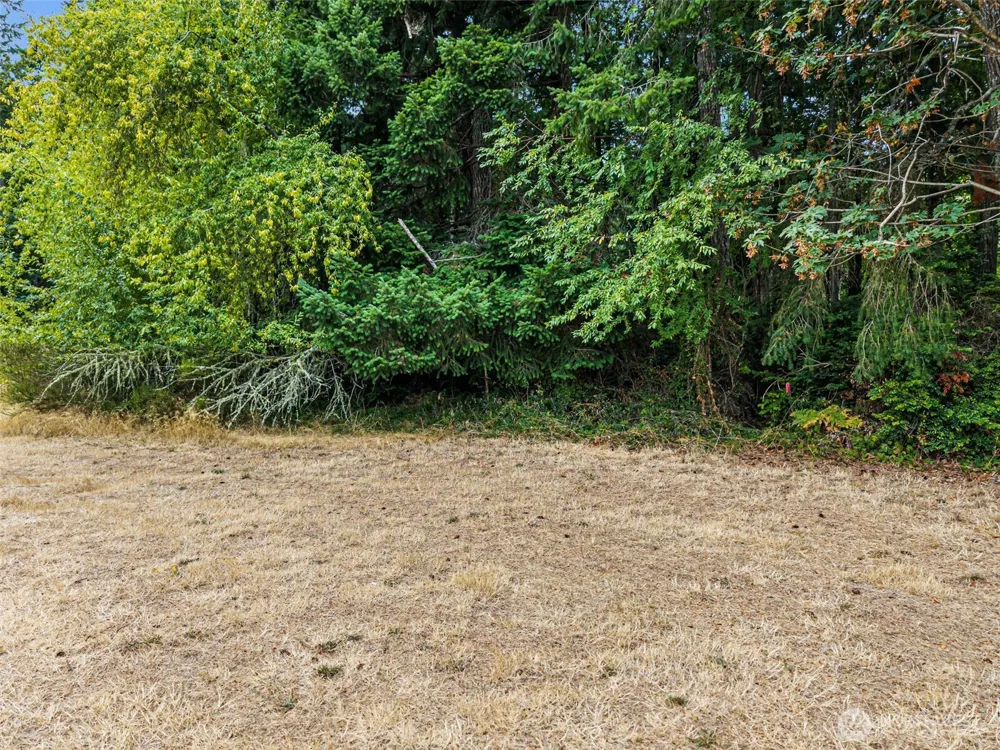 9205 165th Avenue SW Longbranch, WA 98446