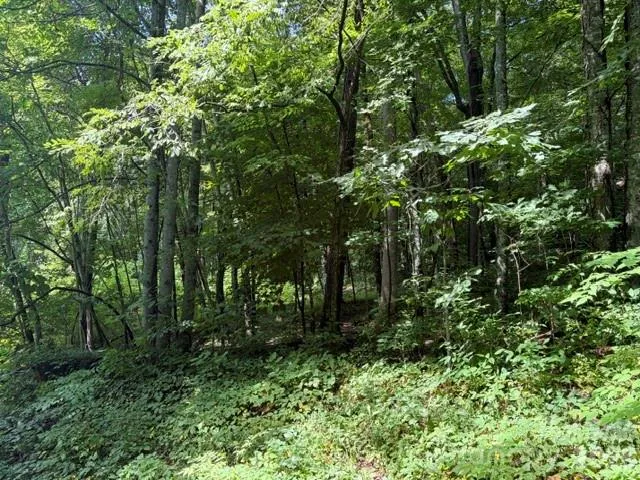 194 Elk Hair Drive #1,191,194,195,196,197 Cullowhee, NC 28723