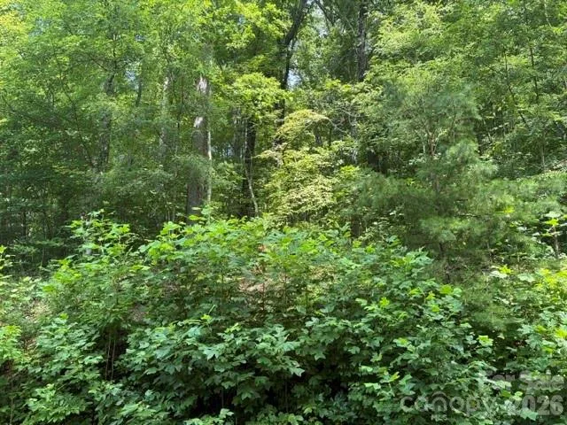 194 Elk Hair Drive #1,191,194,195,196,197 Cullowhee, NC 28723