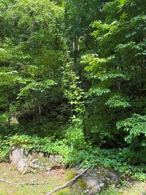 194 Elk Hair Drive #1,191,194,195,196,197 Cullowhee, NC 28723