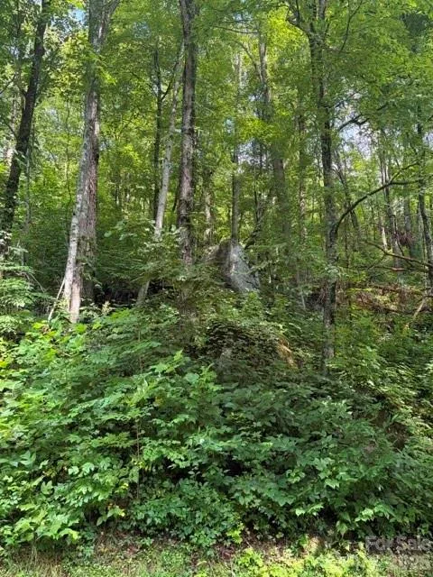 194 Elk Hair Drive #1,191,194,195,196,197 Cullowhee, NC 28723