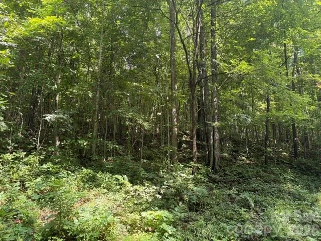 194 Elk Hair Drive #1,191,194,195,196,197 Cullowhee, NC 28723