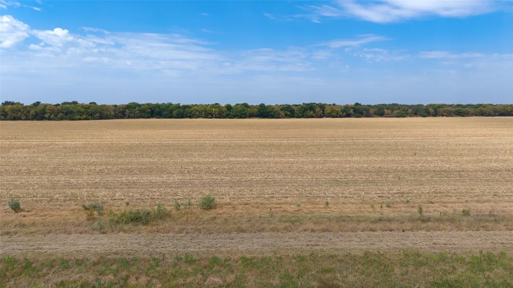 6304 Fm 512 Wolfe City, TX 75496