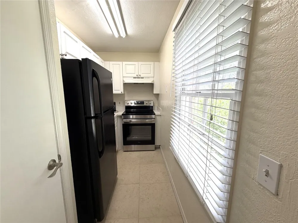 13828 ORANGE SUNSET DRIVE #202 Tampa, FL 33618