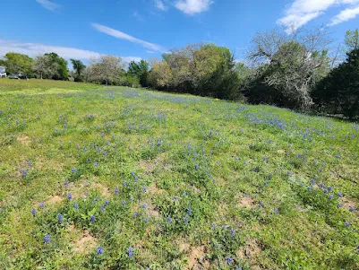 Fm 812 Road