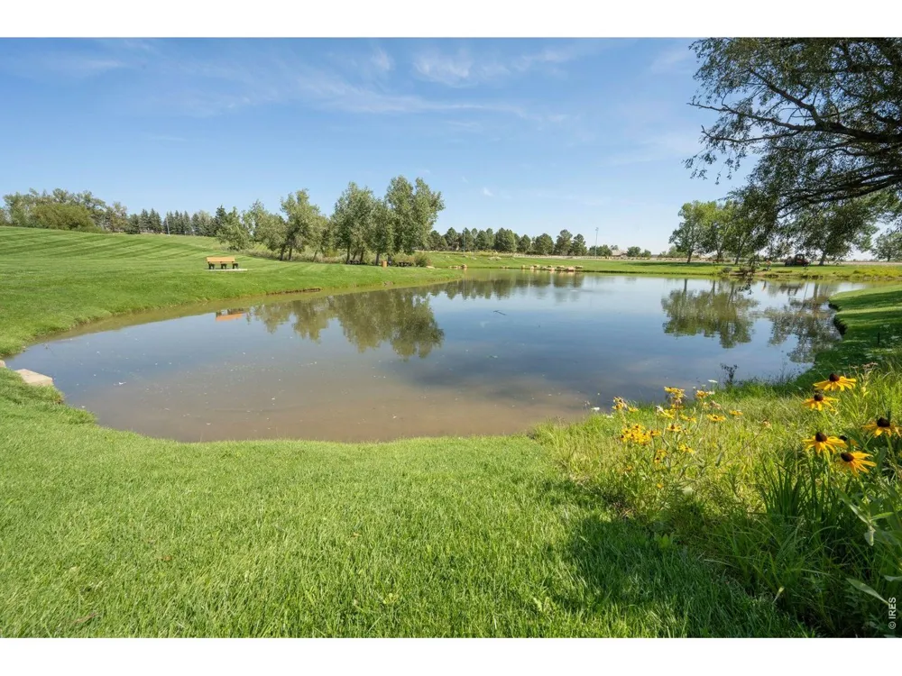 2141 Dailey Street Superior, CO 80027