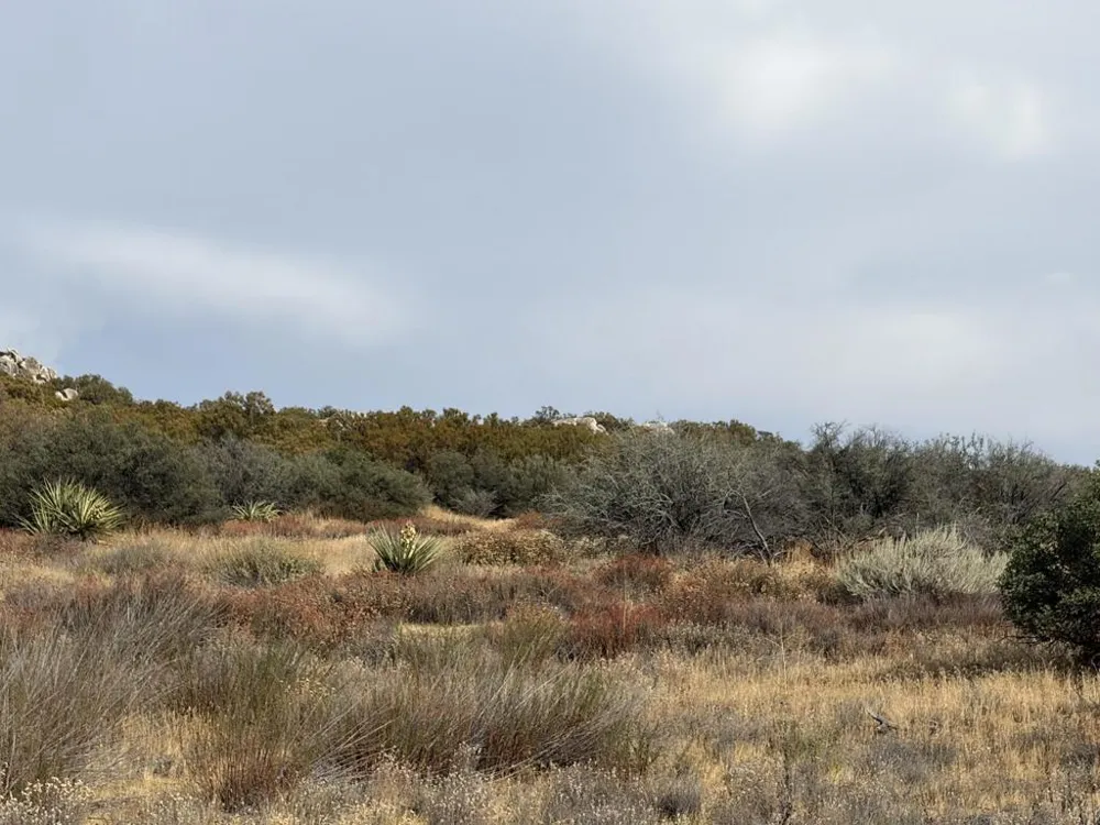 Kgkj Ranch Road Anza, CA 92539