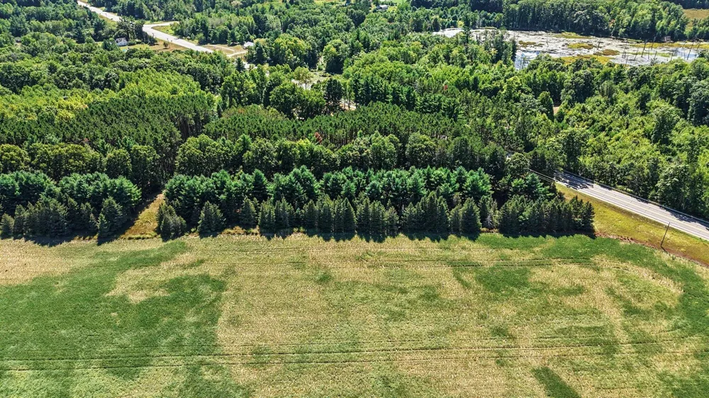 1012 Evergreen Drive White Cloud, MI 49349