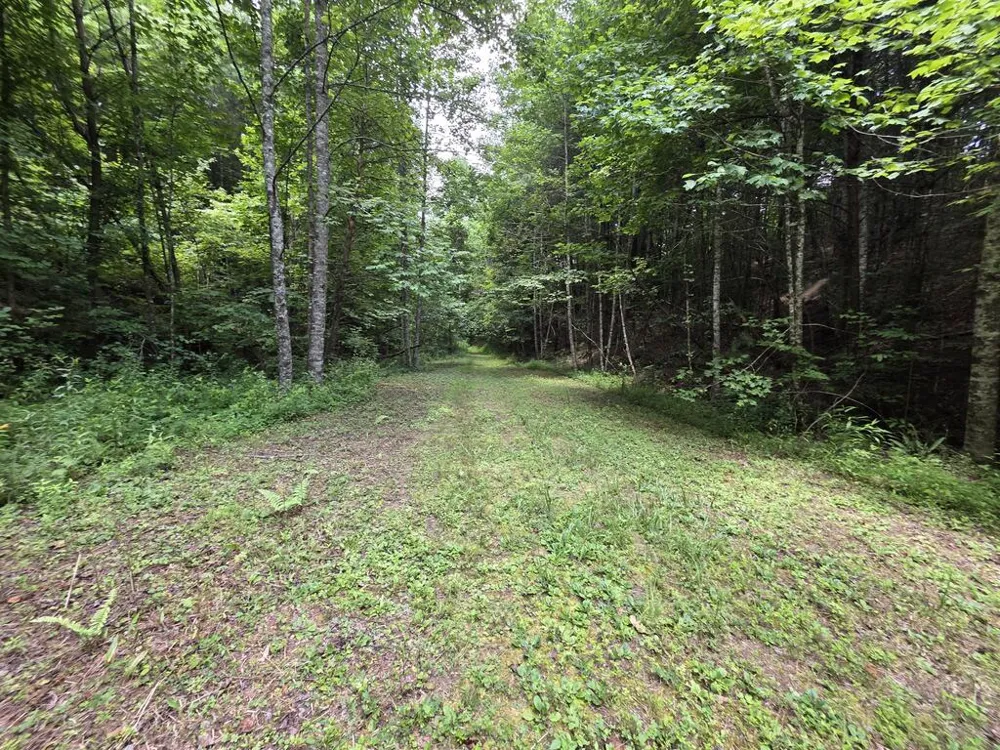 34.98 Hall Road Turtletown, TN 37391