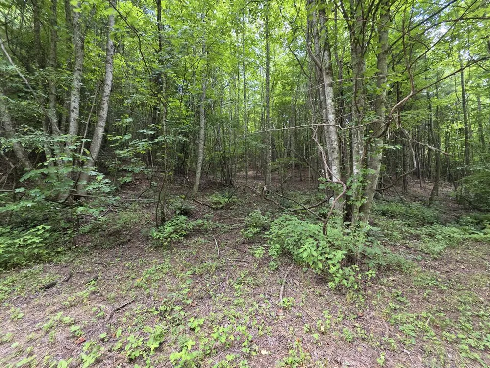 34.98 Hall Road Turtletown, TN 37391