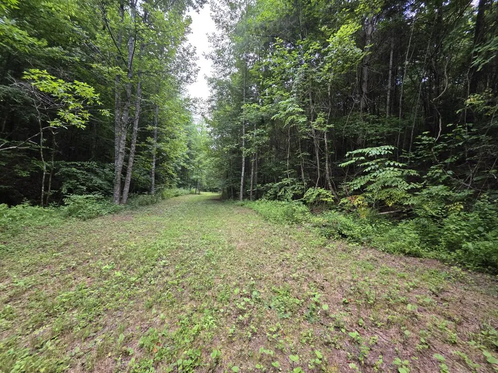 34.98 Hall Road Turtletown, TN 37391