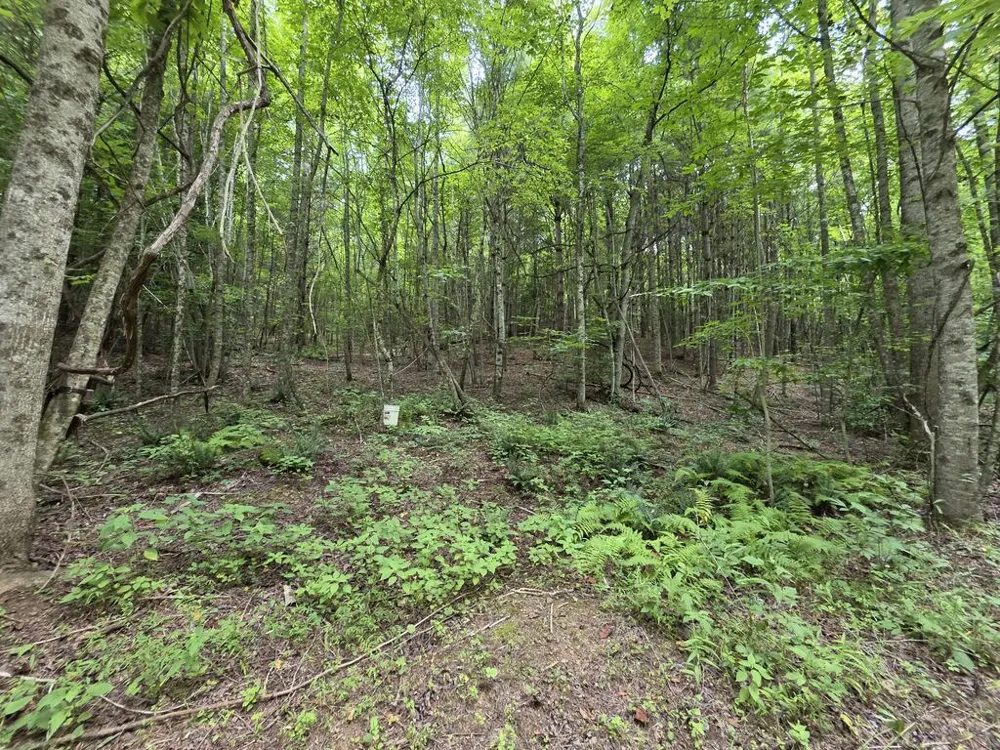 34.98 Hall Road Turtletown, TN 37391