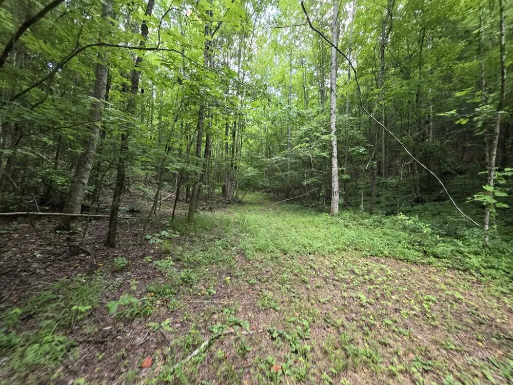 34.98 Hall Road Turtletown, TN 37391