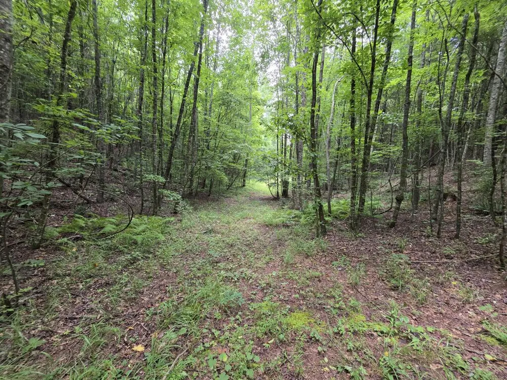 34.98 Hall Road Turtletown, TN 37391