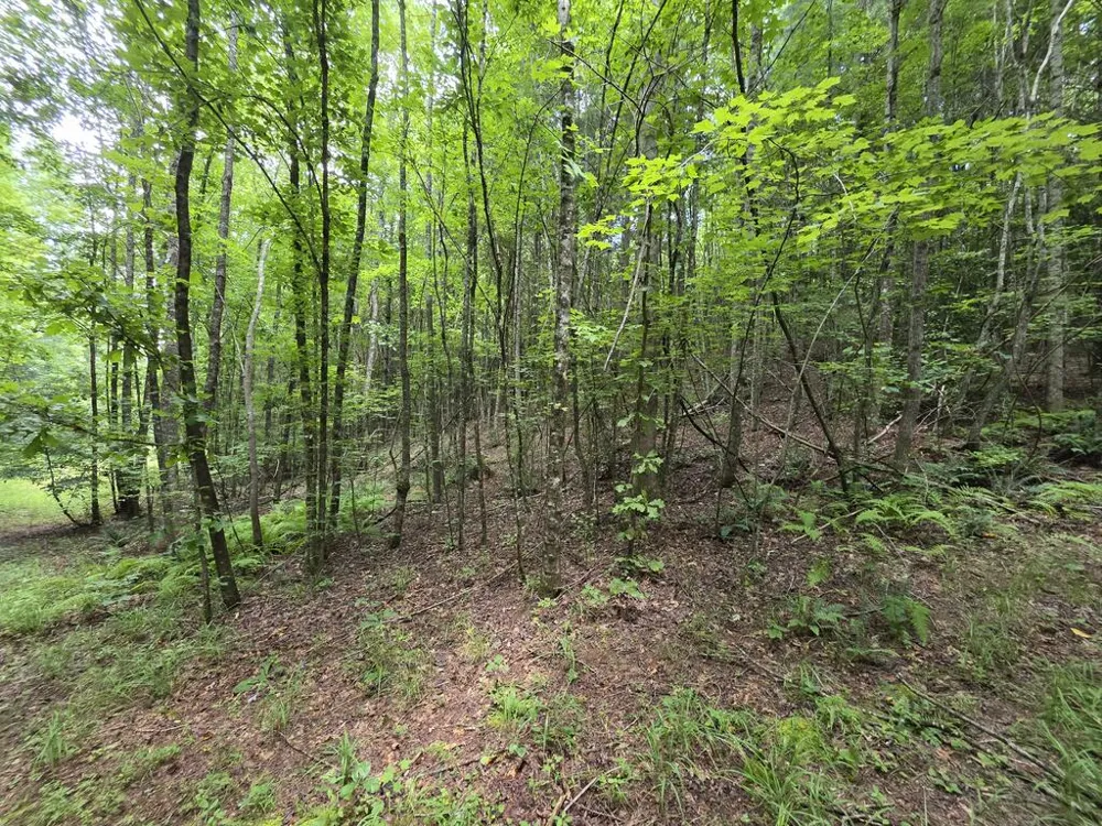 34.98 Hall Road Turtletown, TN 37391