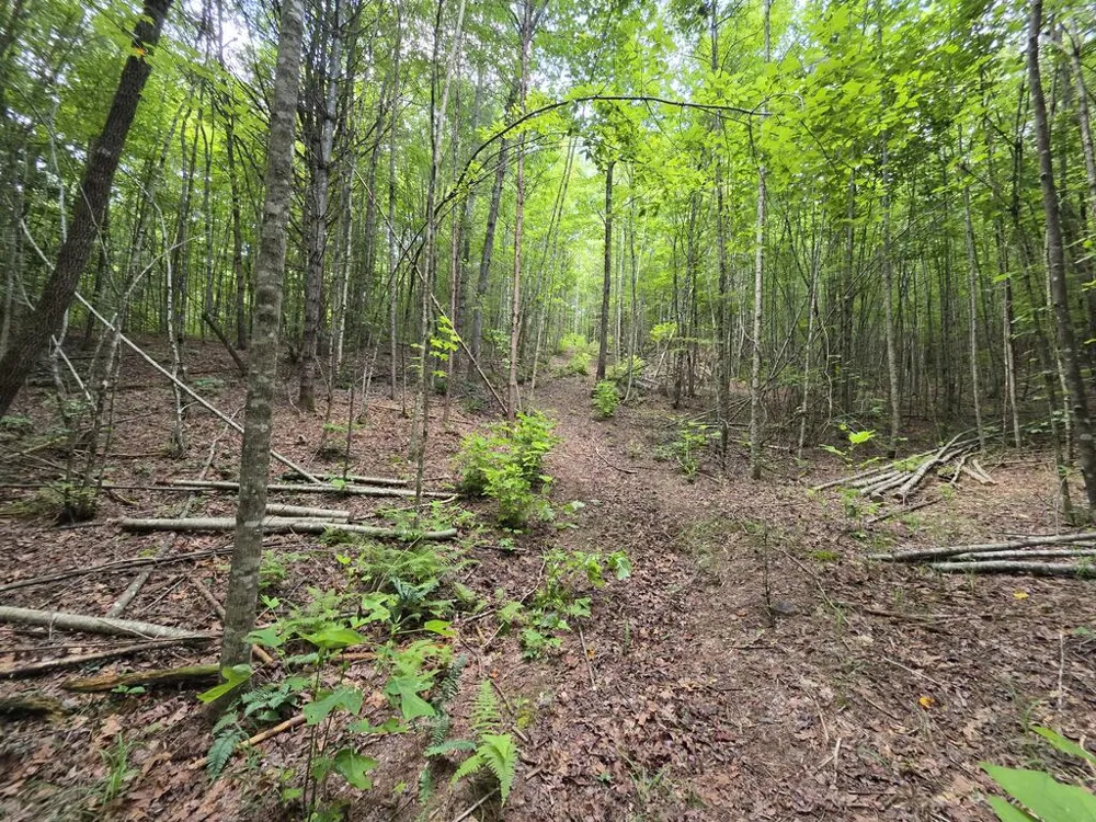 34.98 Hall Road Turtletown, TN 37391