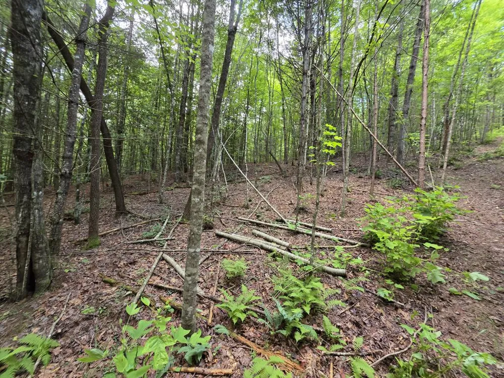 34.98 Hall Road Turtletown, TN 37391
