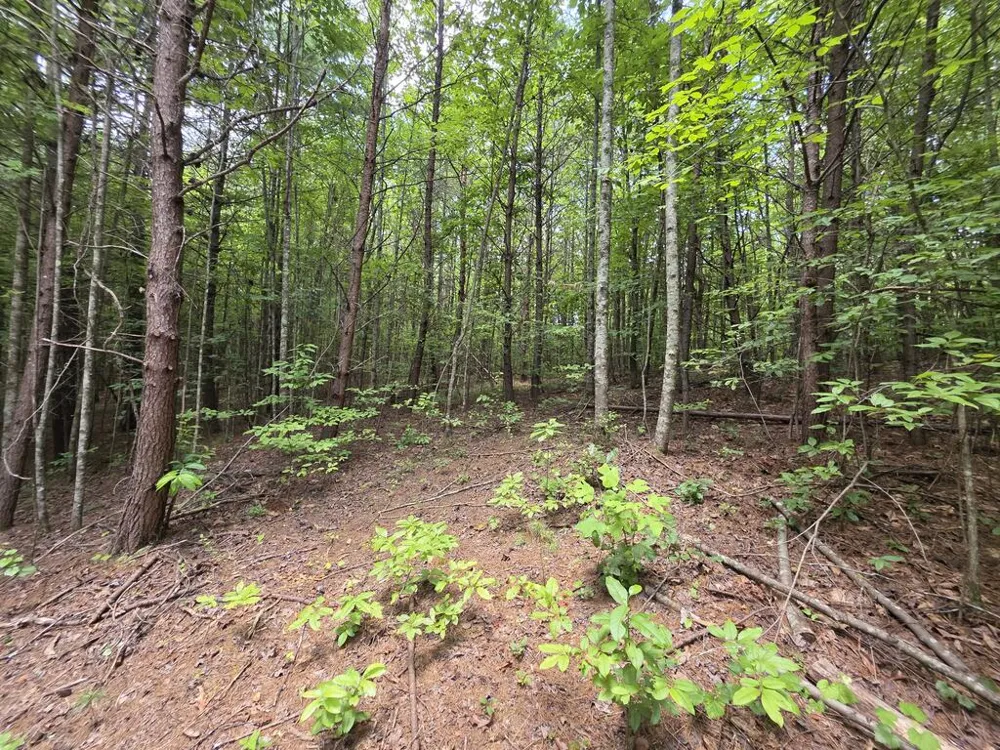 34.98 Hall Road Turtletown, TN 37391