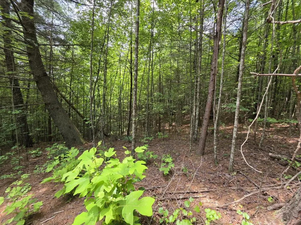 34.98 Hall Road Turtletown, TN 37391