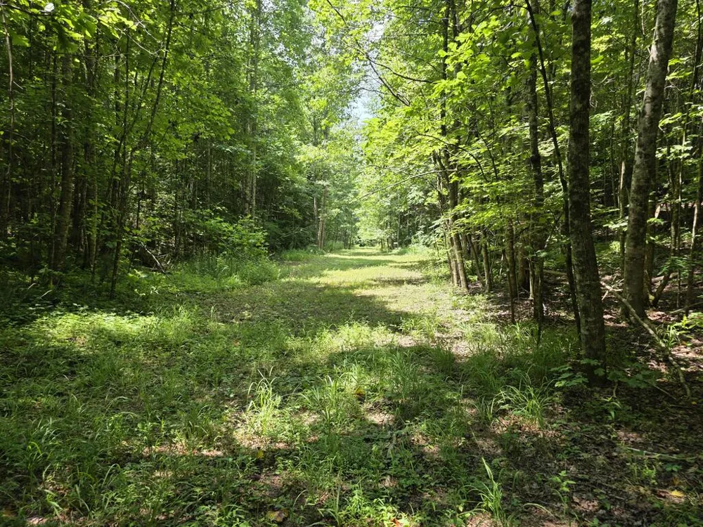 34.98 Hall Road Turtletown, TN 37391