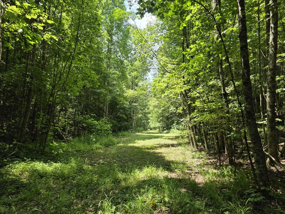 34.98 Hall Road Turtletown, TN 37391