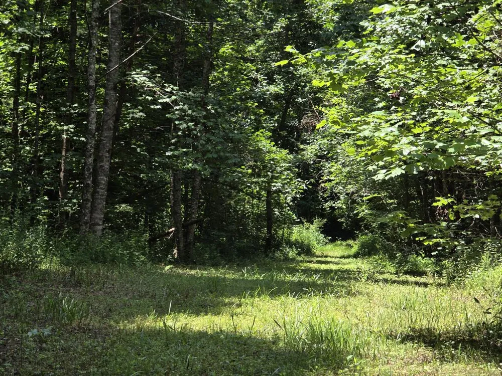 34.98 Hall Road Turtletown, TN 37391