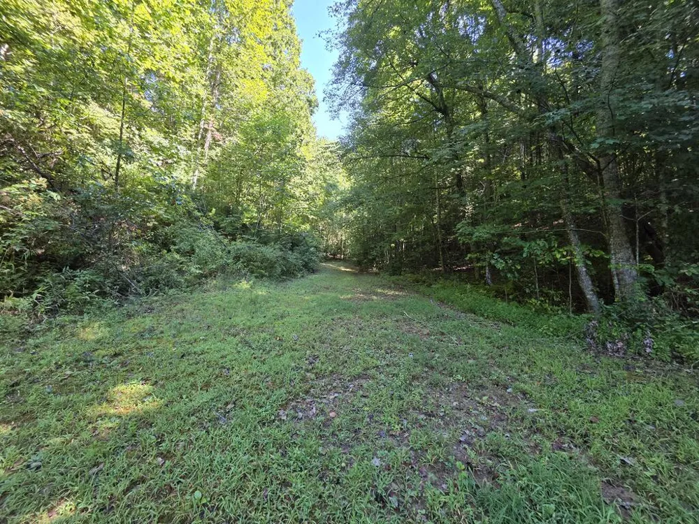 34.98 Hall Road Turtletown, TN 37391