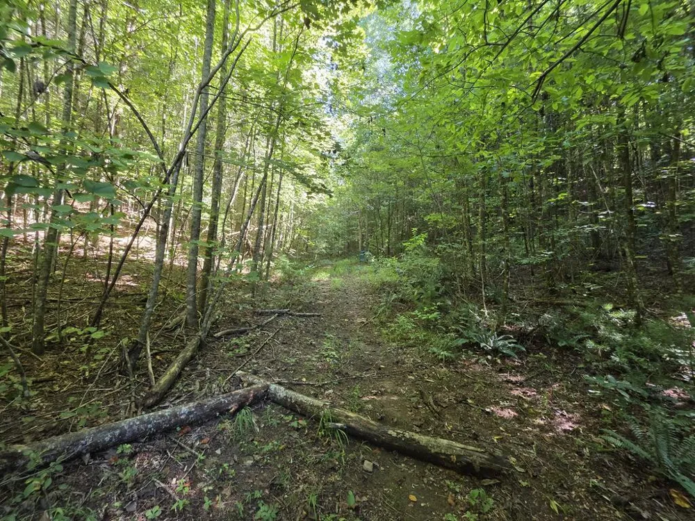 34.98 Hall Road Turtletown, TN 37391