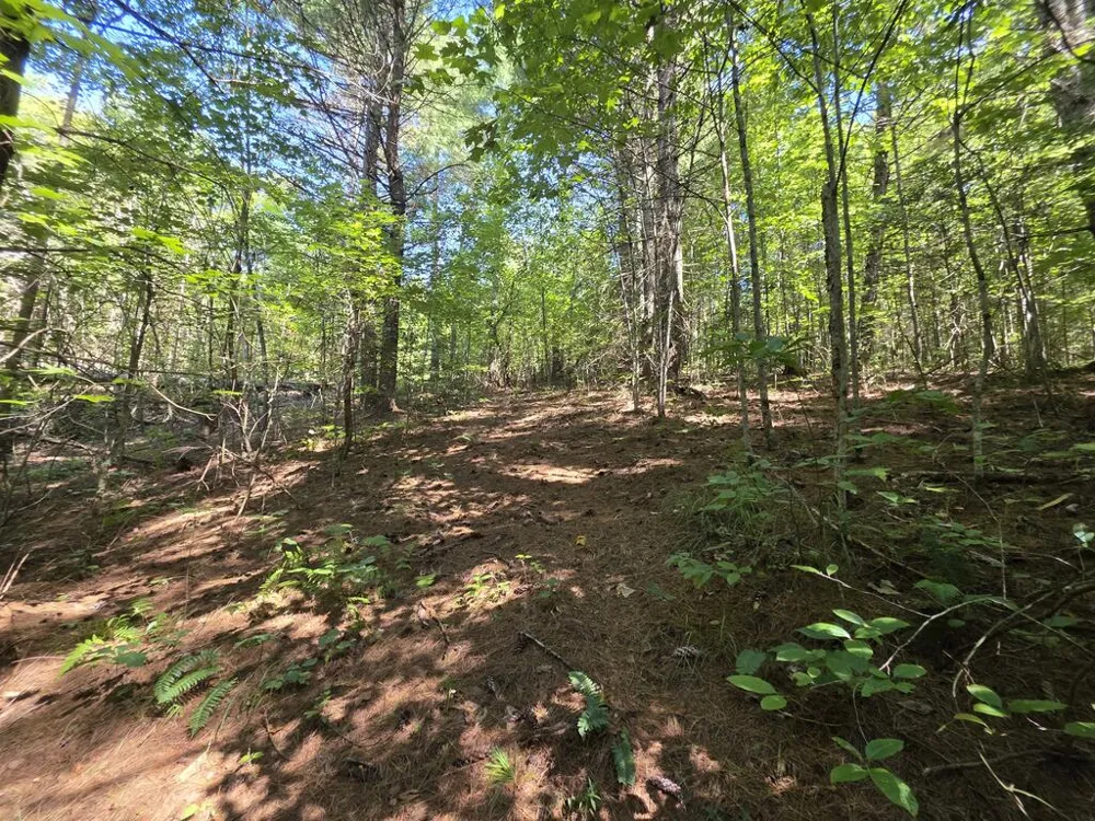 34.98 Hall Road Turtletown, TN 37391