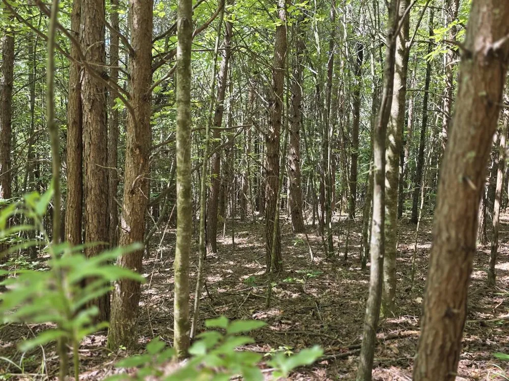 34.98 Hall Road Turtletown, TN 37391