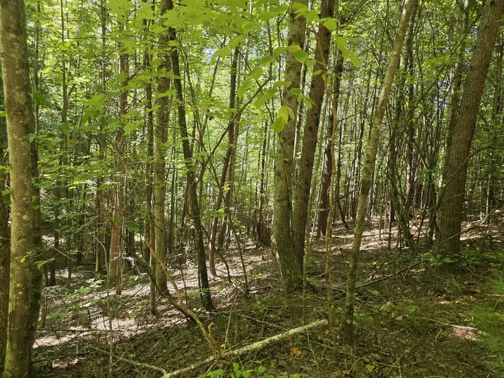 34.98 Hall Road Turtletown, TN 37391