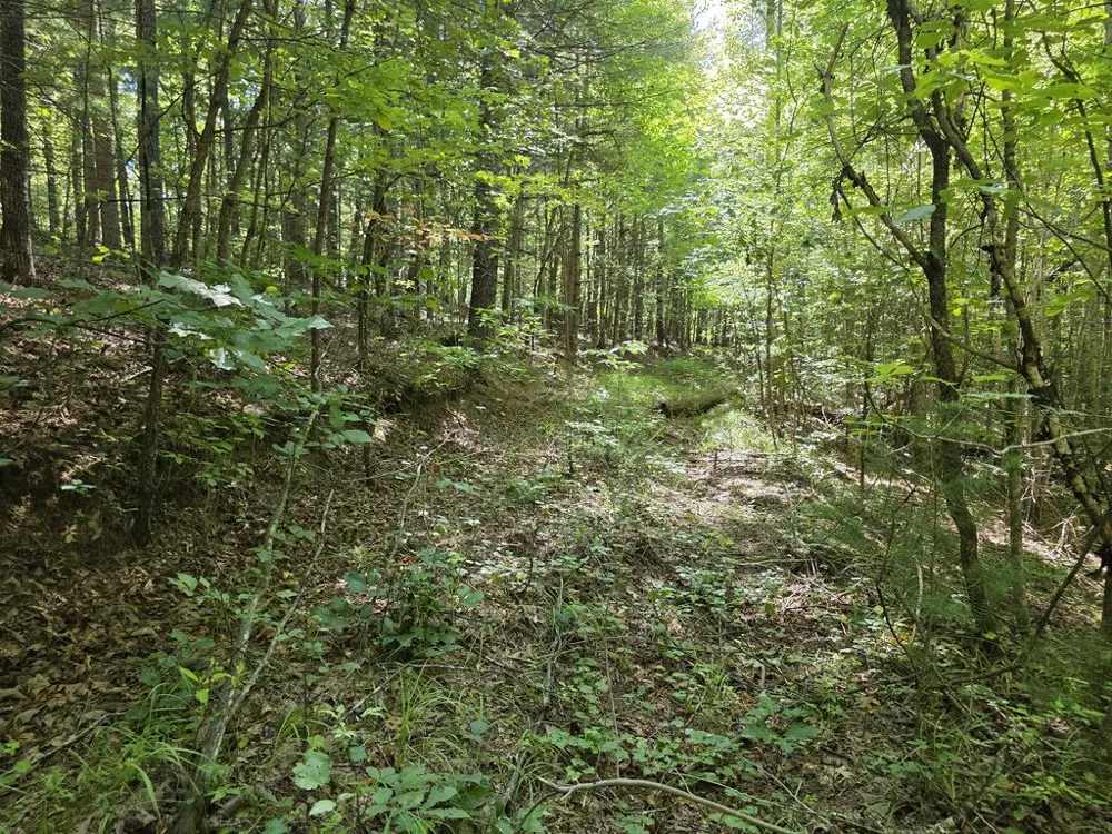 34.98 Hall Road Turtletown, TN 37391