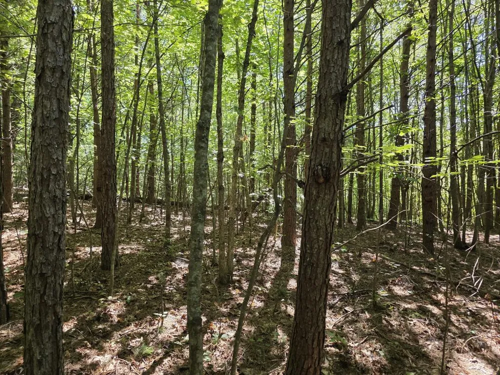 34.98 Hall Road Turtletown, TN 37391