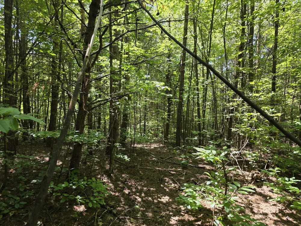 34.98 Hall Road Turtletown, TN 37391