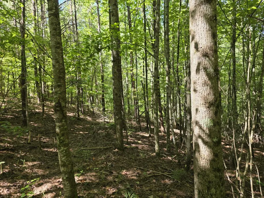 34.98 Hall Road Turtletown, TN 37391