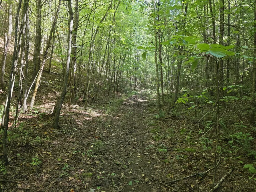 34.98 Hall Road Turtletown, TN 37391