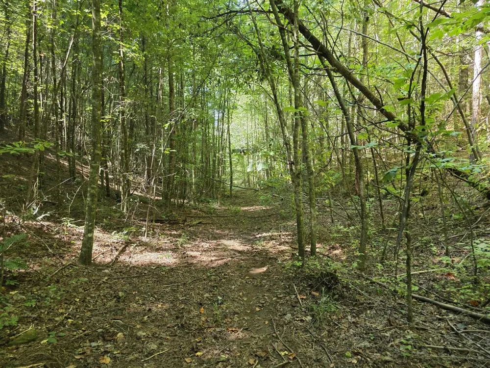 34.98 Hall Road Turtletown, TN 37391