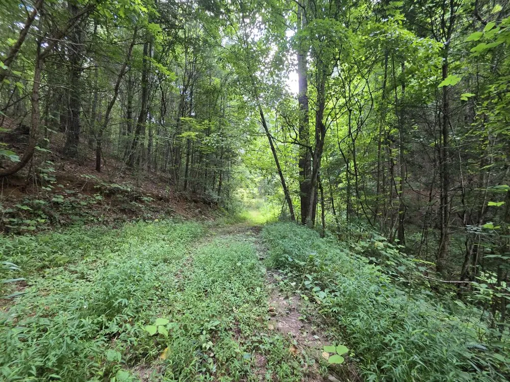 34.98 Hall Road Turtletown, TN 37391